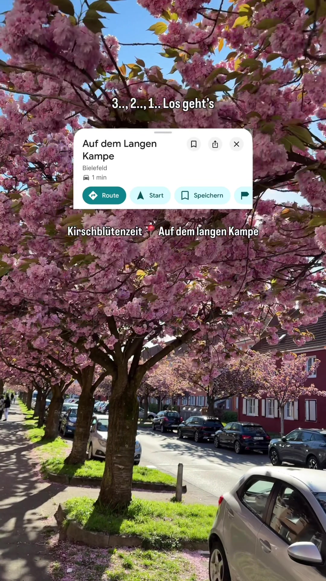 @Bielefeld Guide