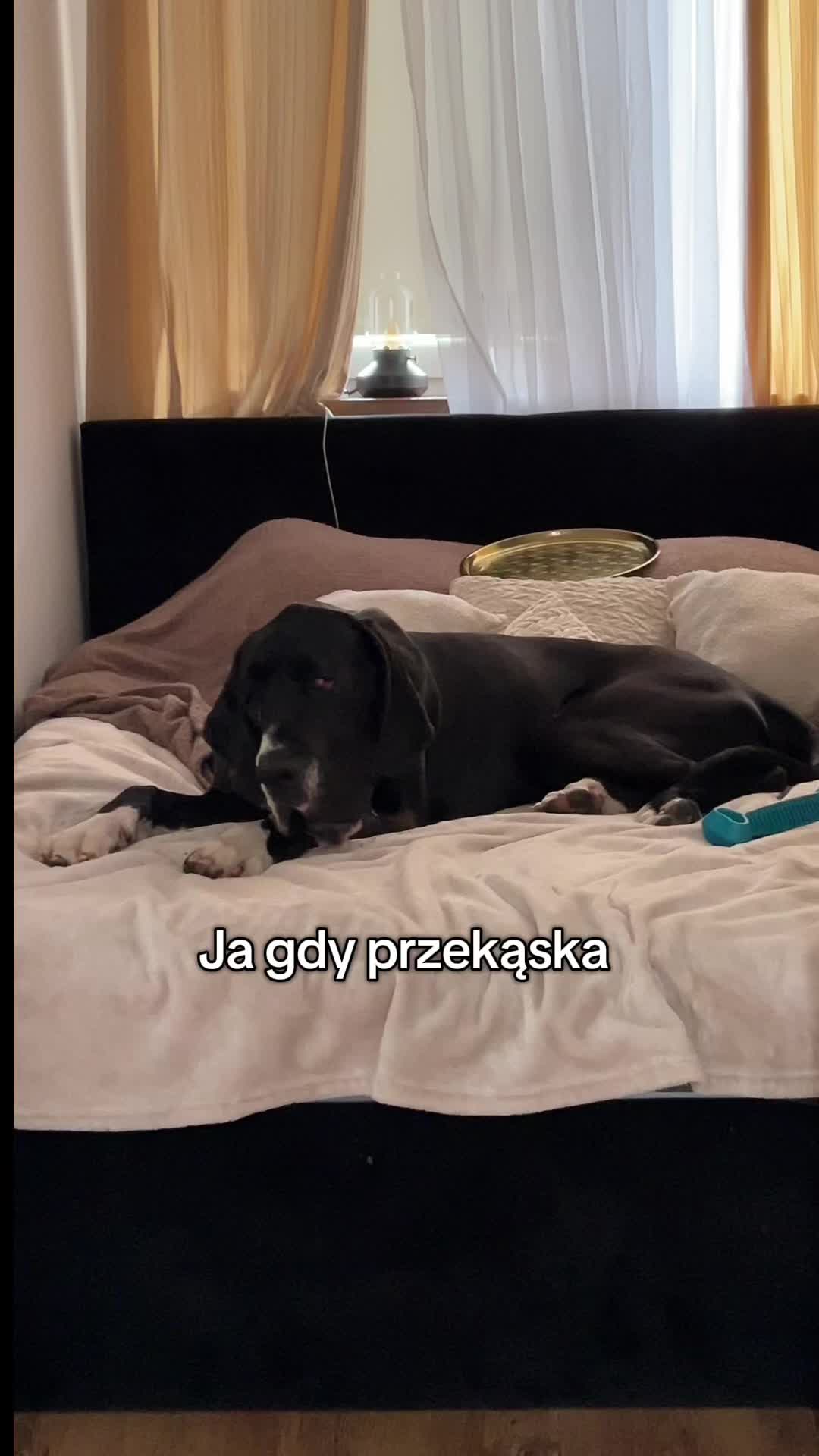 @ScandalOfStarFCI