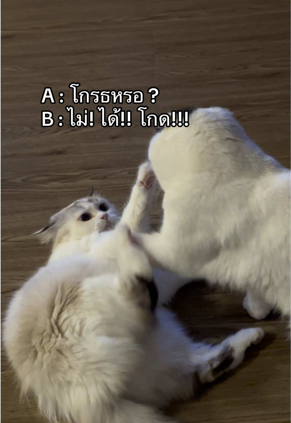 @เยอร์เก้นอยากเป็นดารา