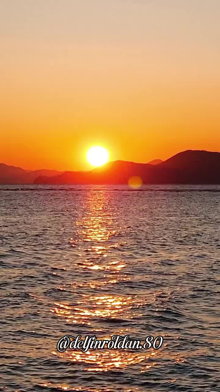 @Delfín🇪🇨