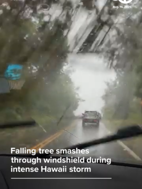 @ABC7 News