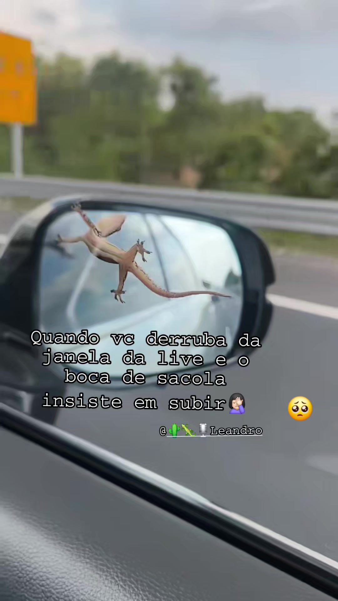 @🌵🐑DÉIACACTUS🦂