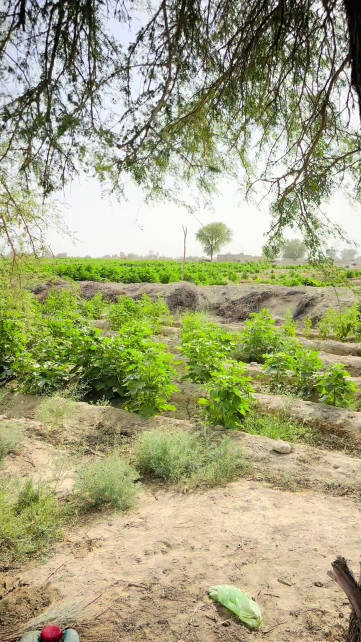 @huzaif_085
