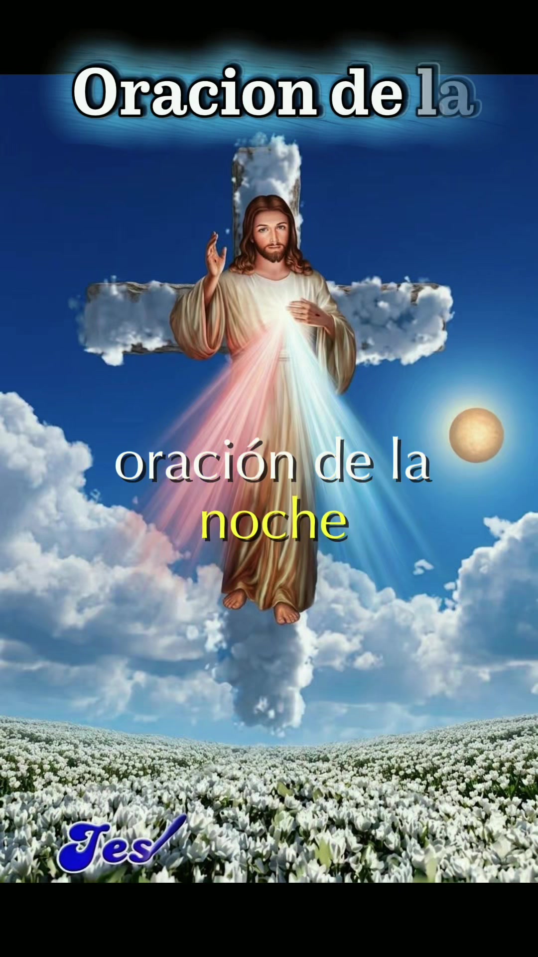 @8luisplaza8