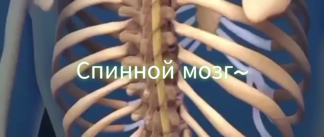 @Здоровый позвоночник♡Юж.Корея