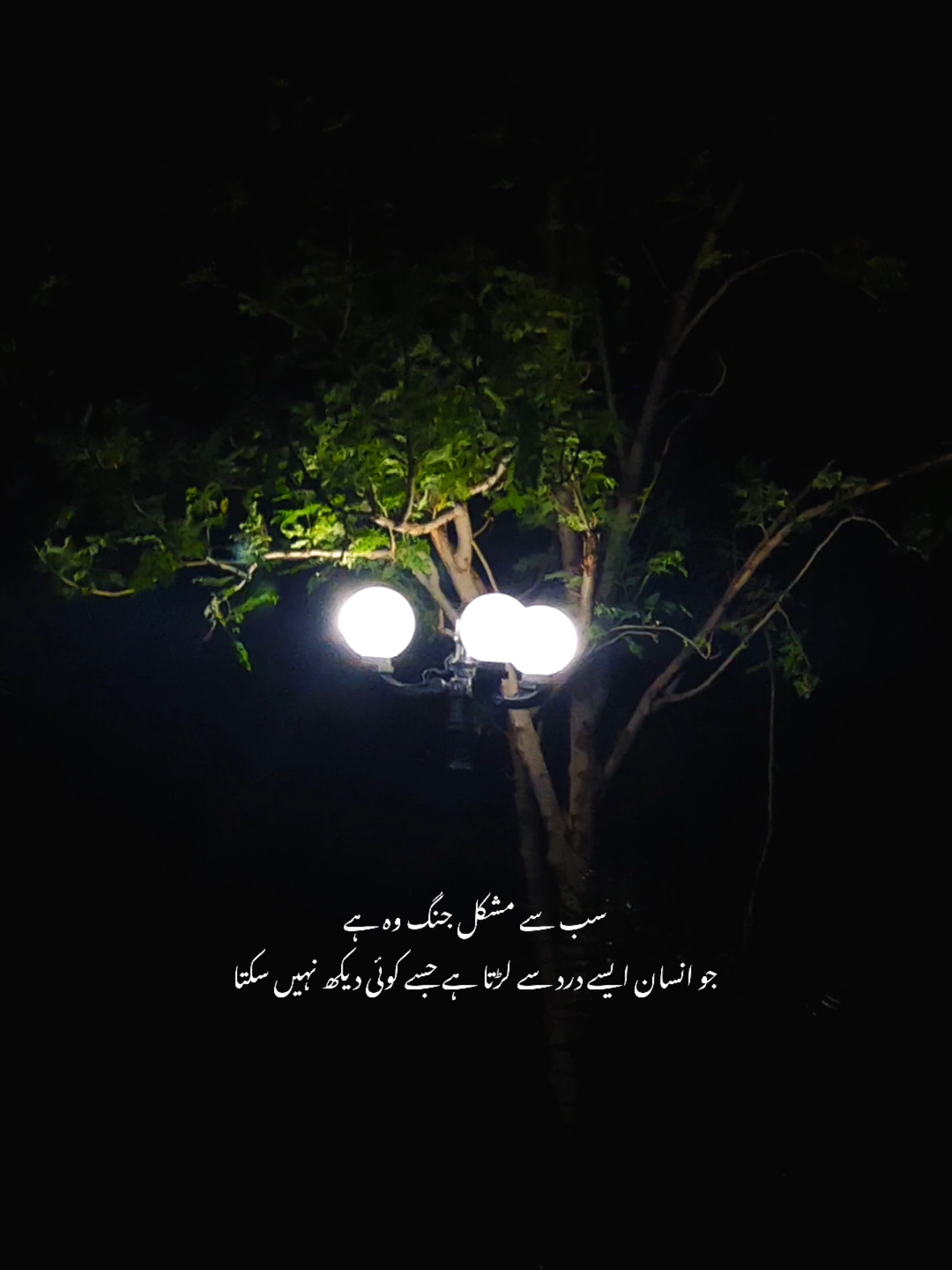 @𝙎 𝘼 𝙈 𝙄