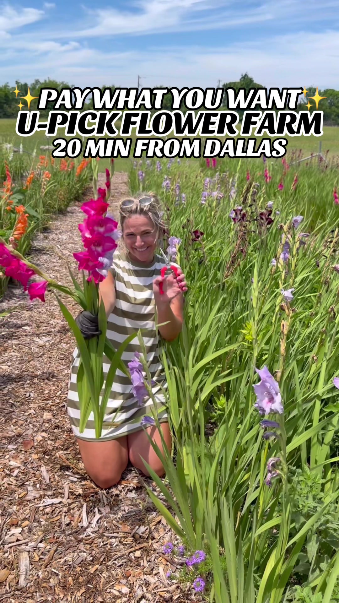 @Dallas Love List