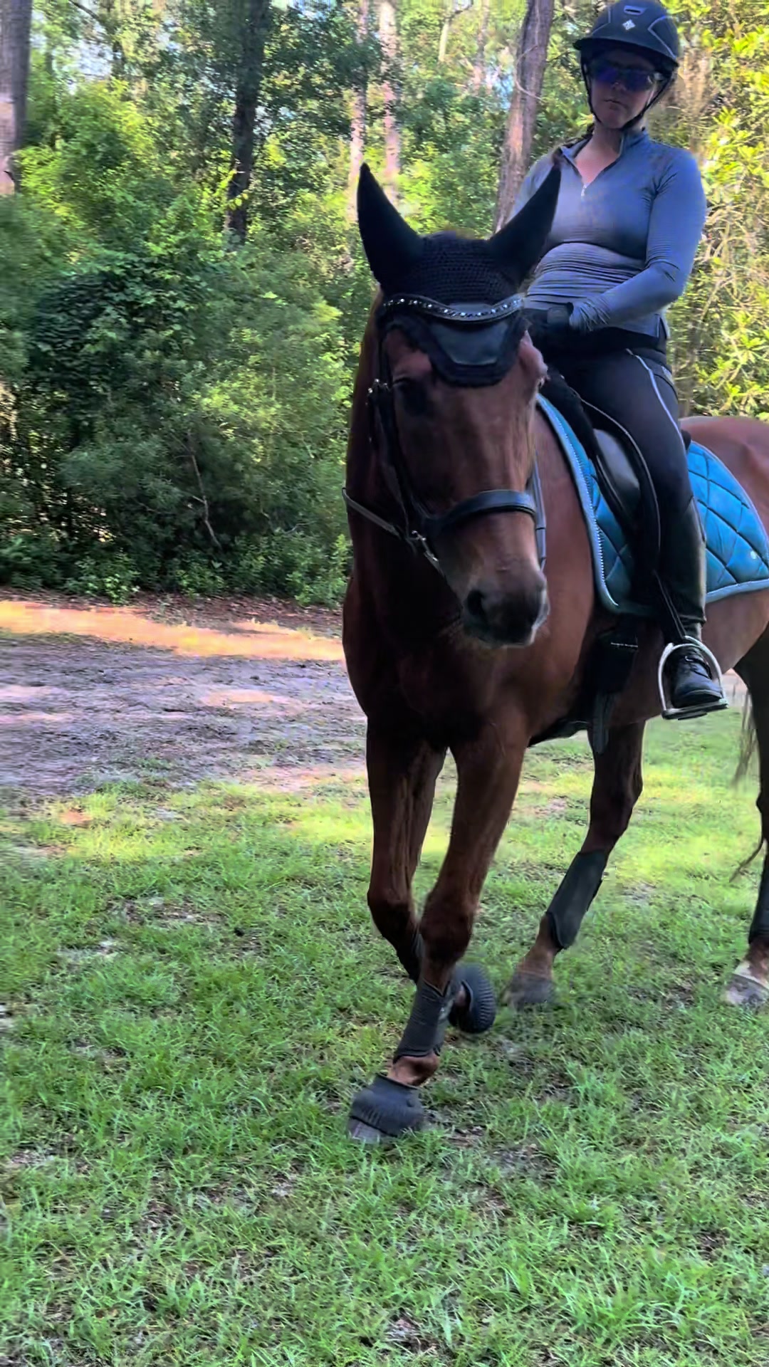 @MindsetEquestrian