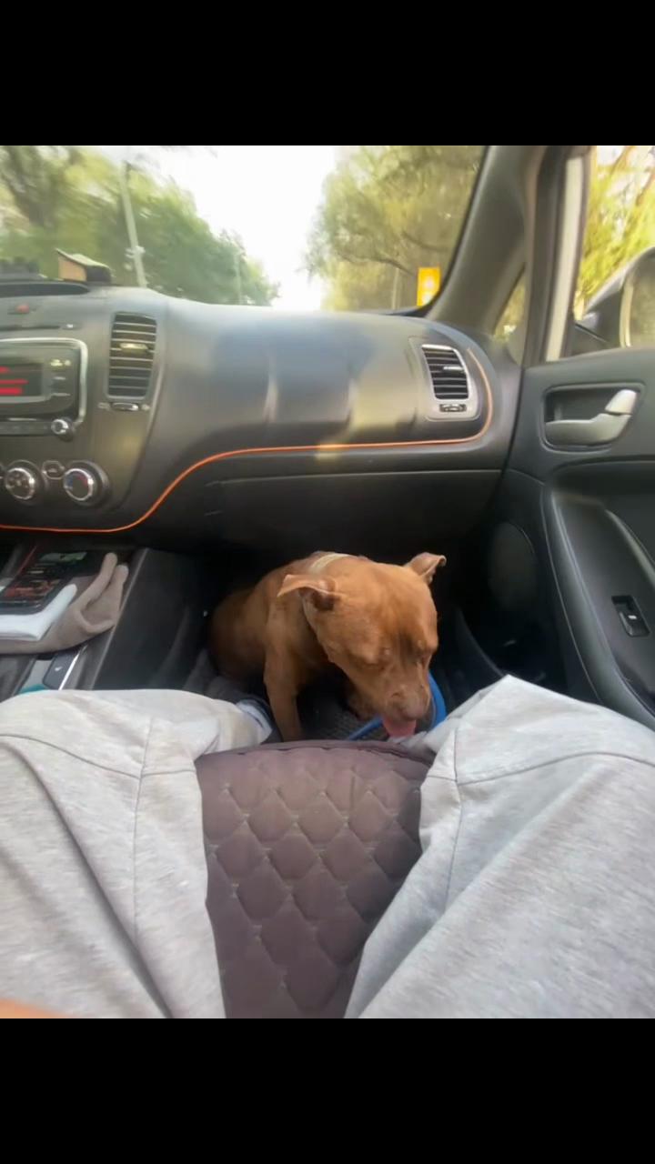 @pit.sport.rr