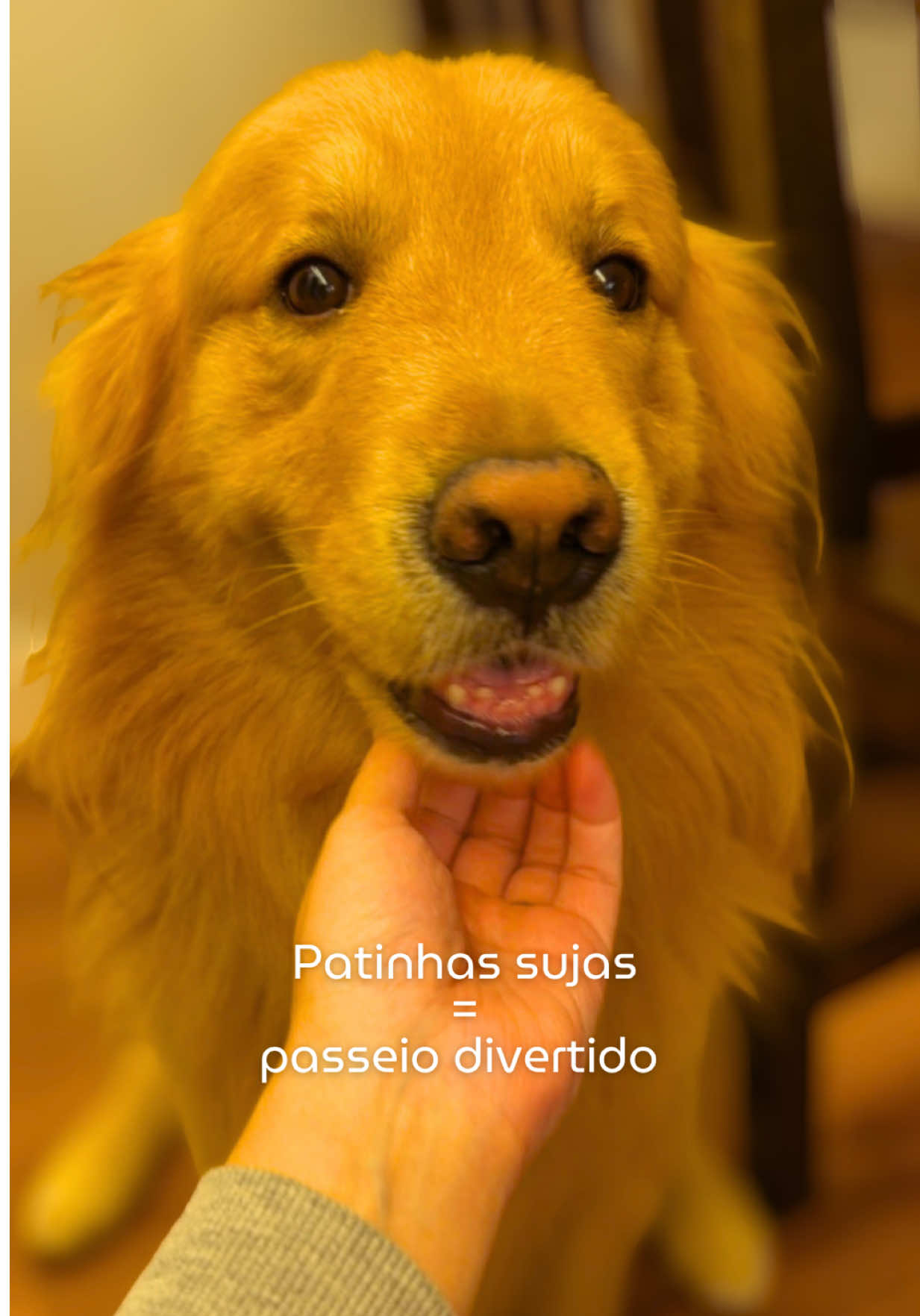 @Pudim Nelson & Rafa Moraes
