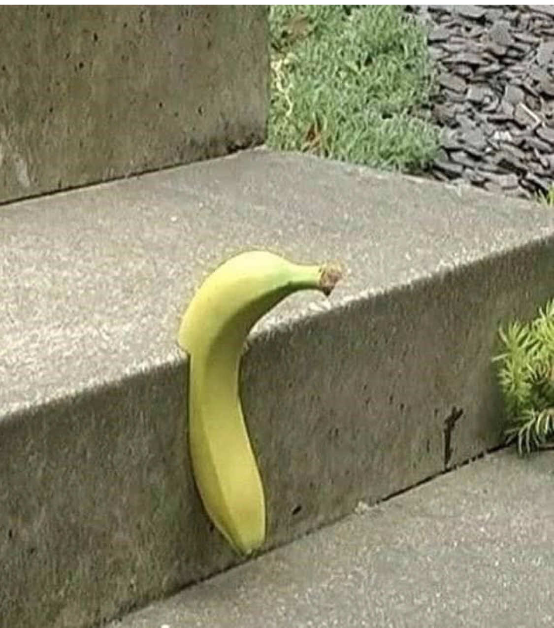@๐๐๐๐๐ ๐จ