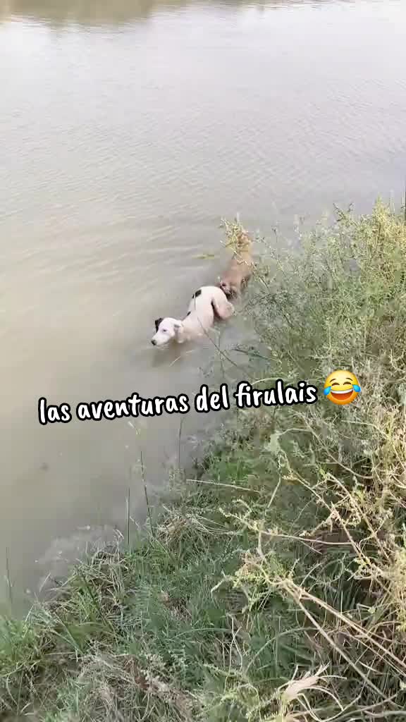 @Rolando El Fish
