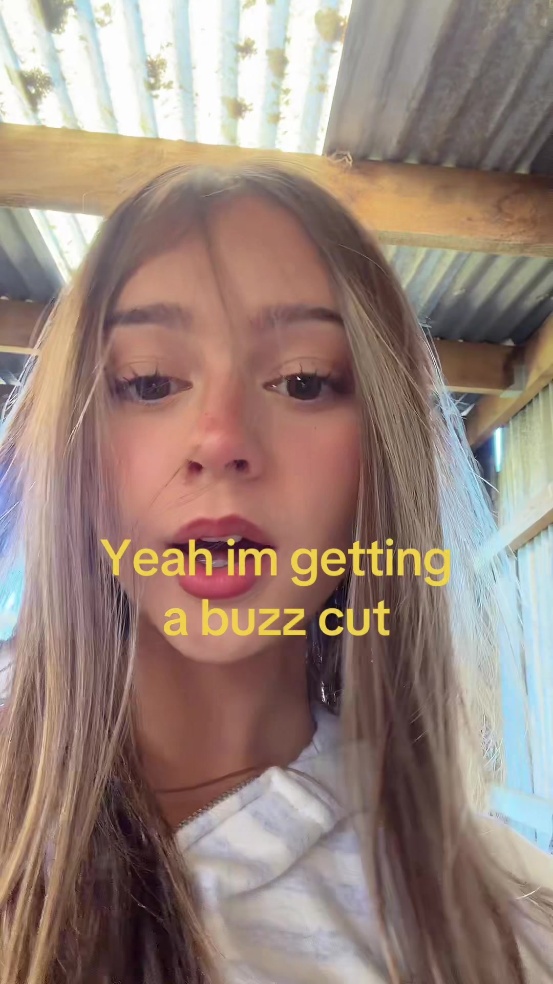 @𝕒𝕚𝕒🐙