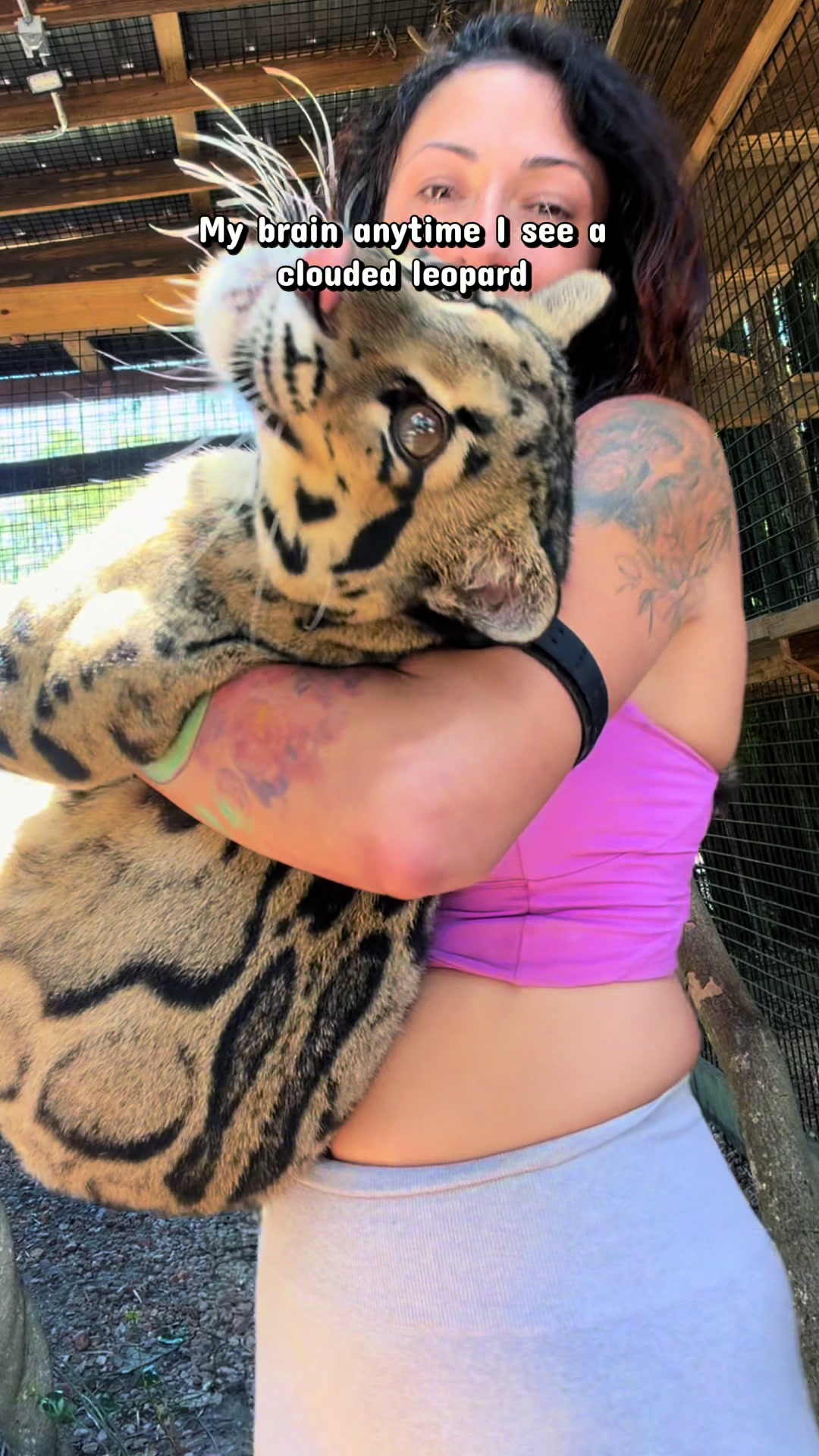 @Xtremeexotics