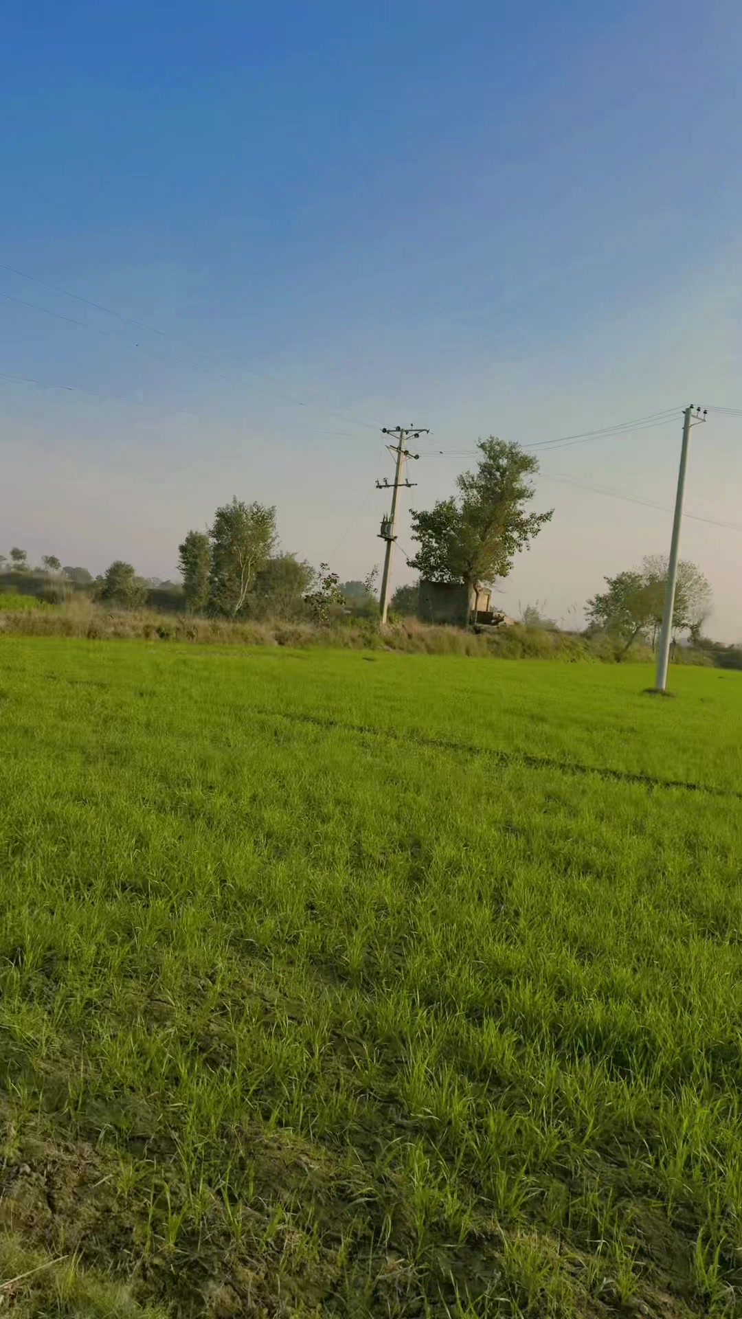 @🇮🇹پردیسی اٹلی والا🇵🇰
