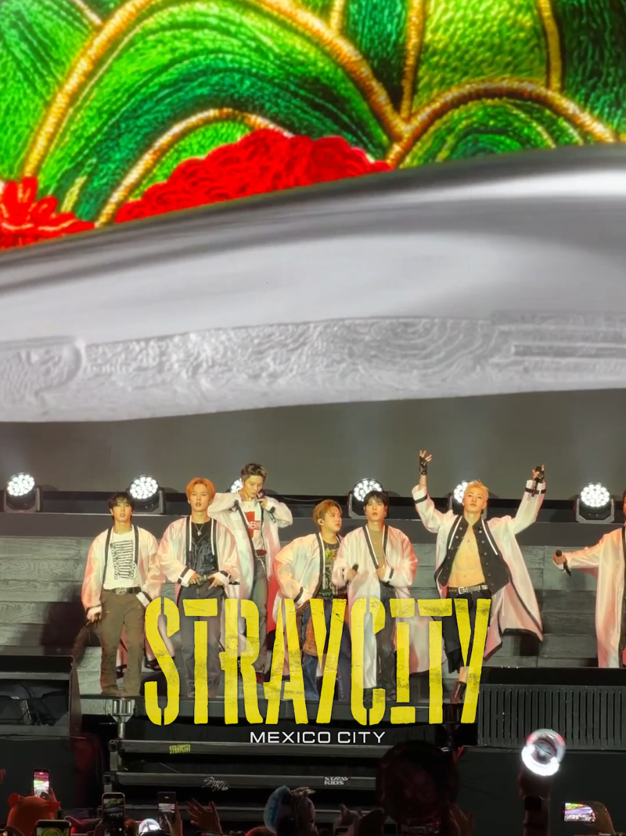 @Stray Kids