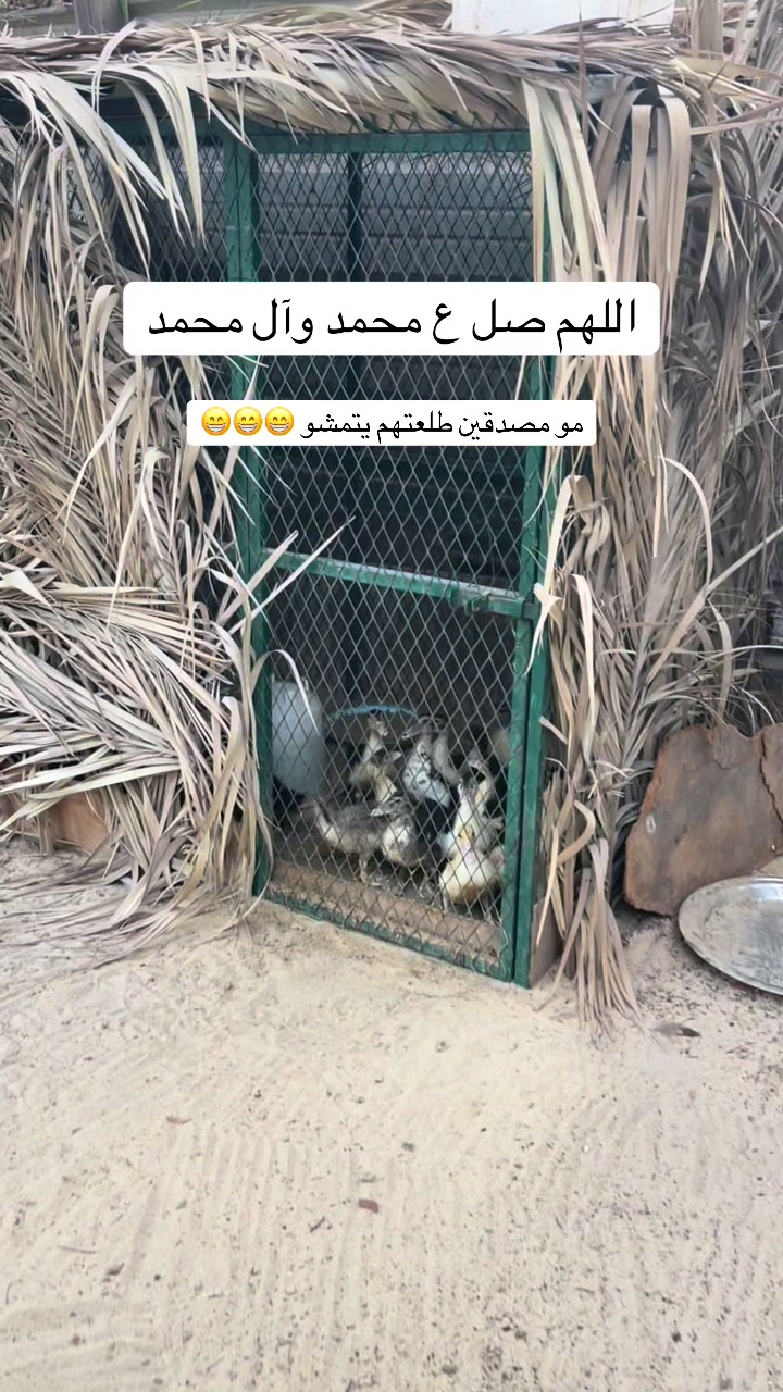 @ashkaltbiah