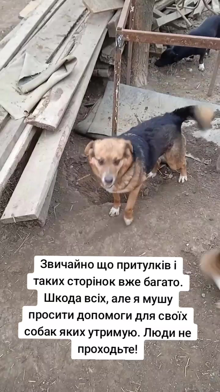 @tvarinkidobra