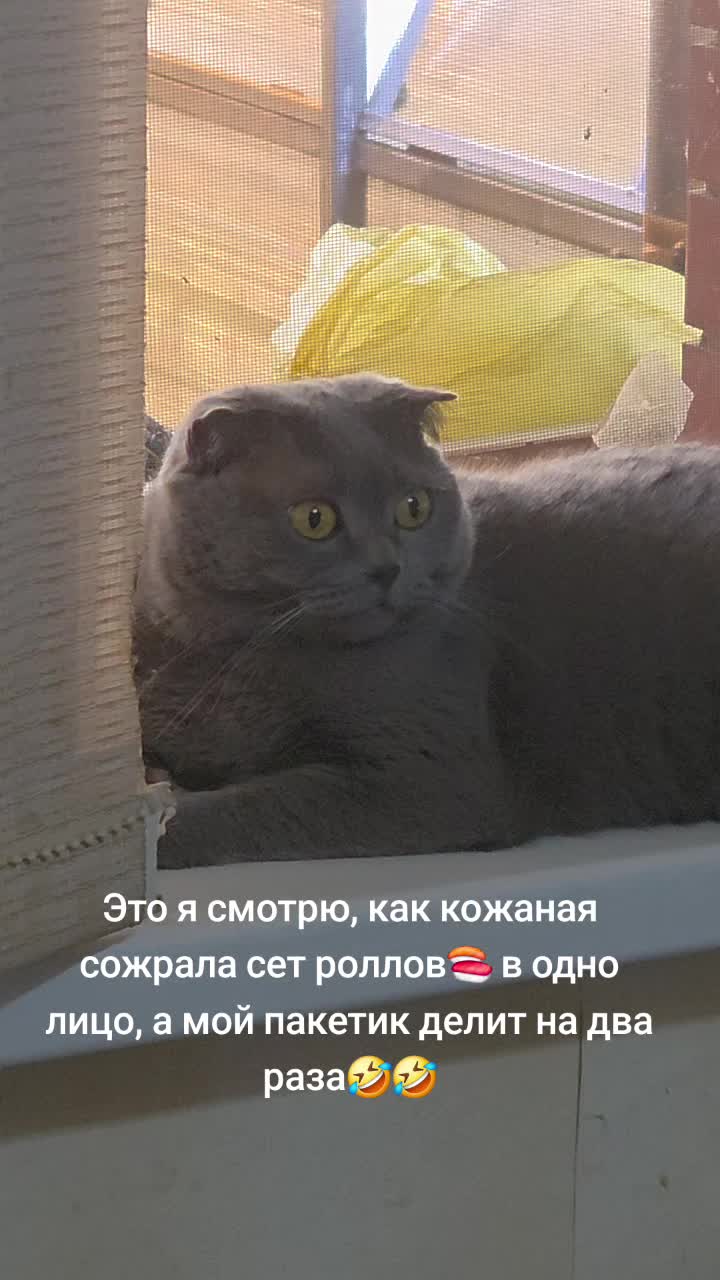@krasavchik_andrey