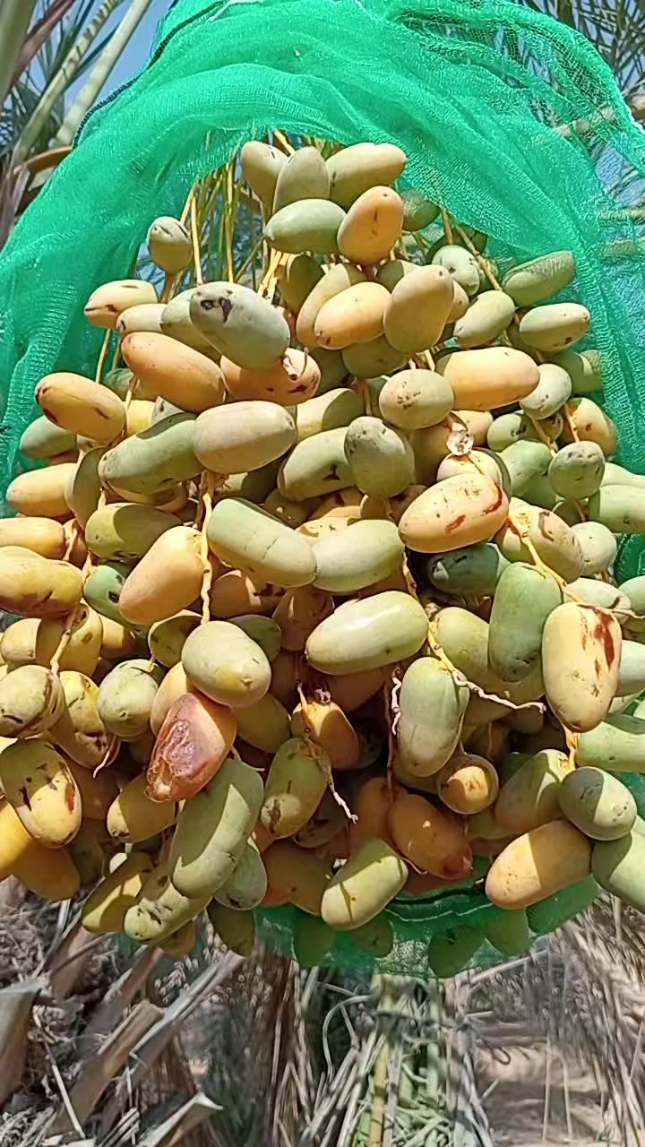 @আমিহীন দুনিয়া 😥😥😥☝️☝️000