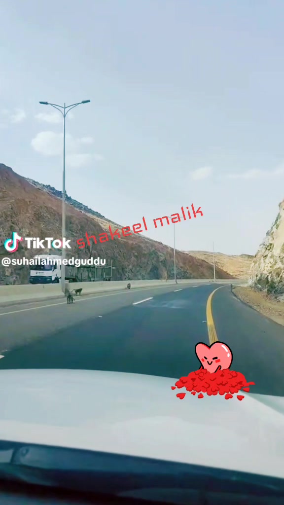 @Shakeel Malik❤❤🇺🇸🇺🇸