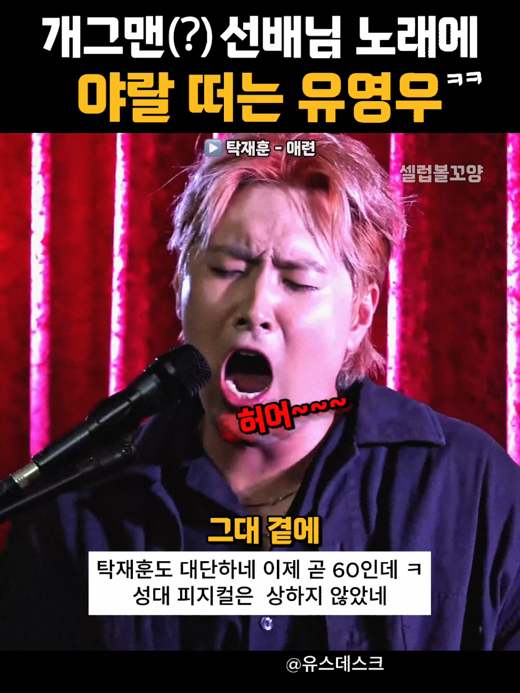 @셀럽볼꼬양