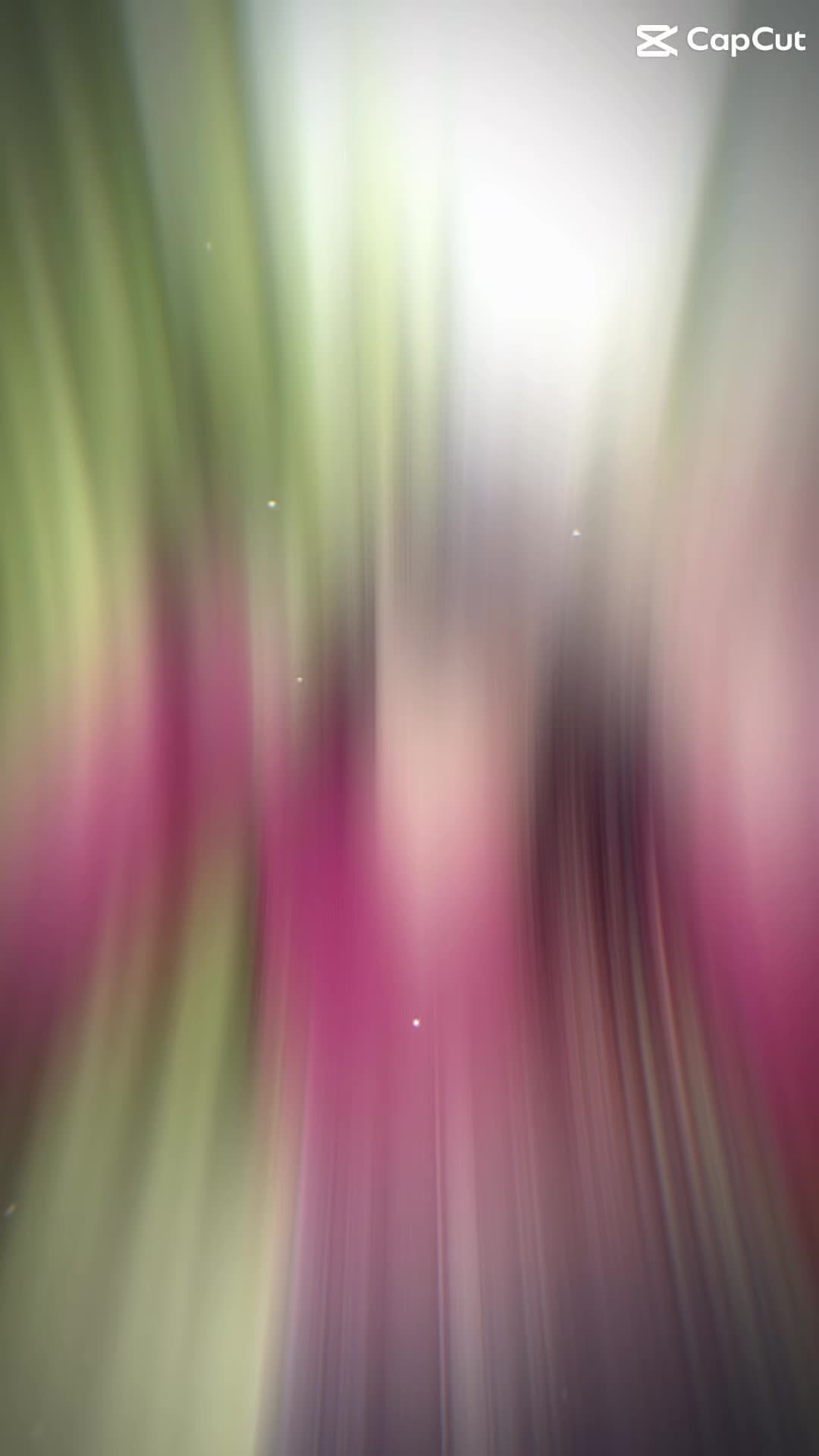 @๐ง๐ปโ๏ธ
