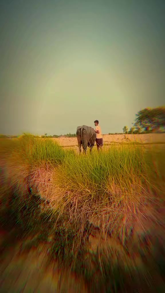 @Yadav ji