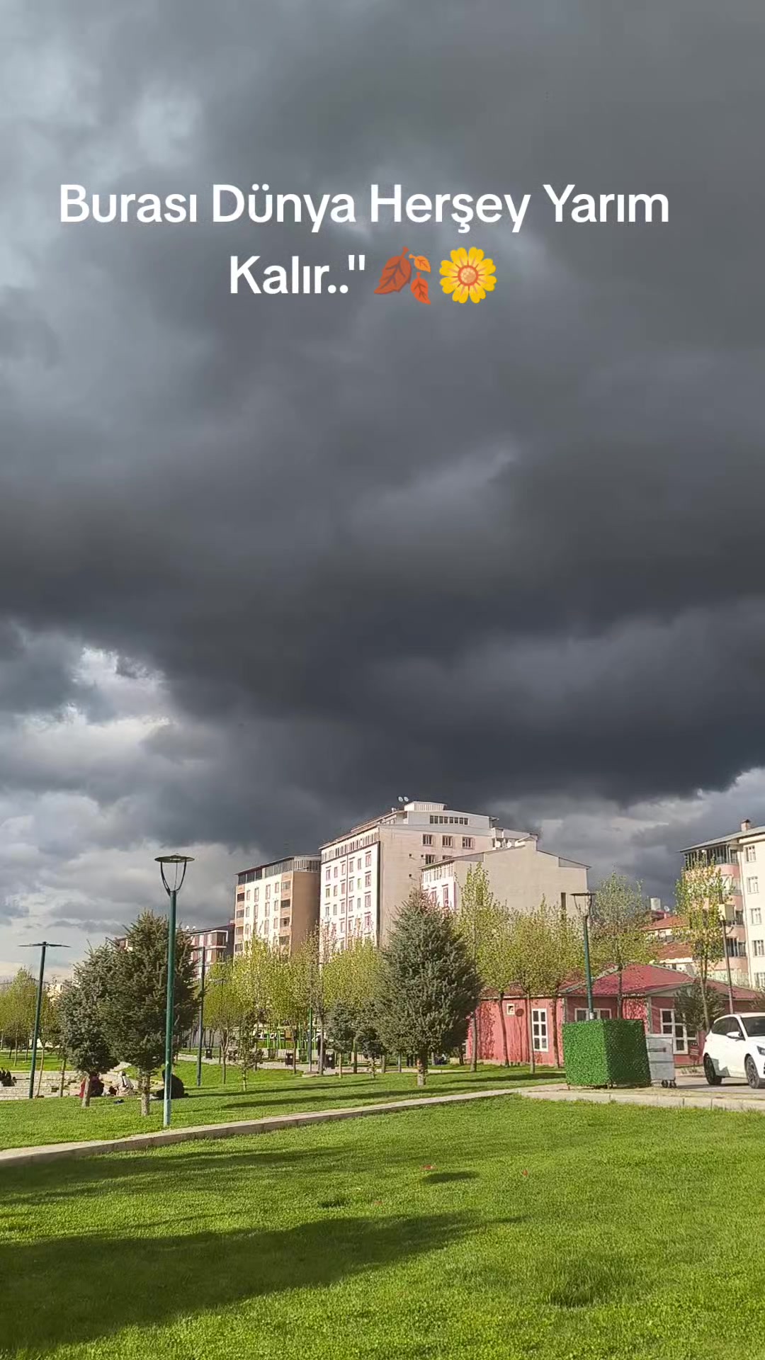 @kalpteki yara🥀🥀