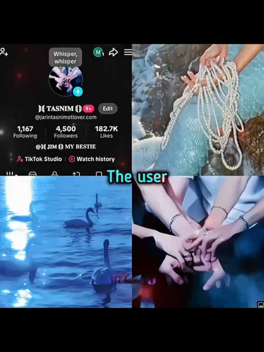 @𝐓𝐎𝐌𝐘