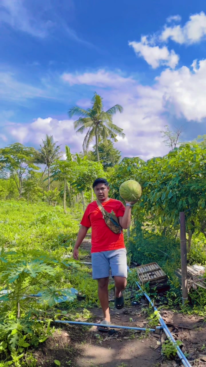 @Laras Buah