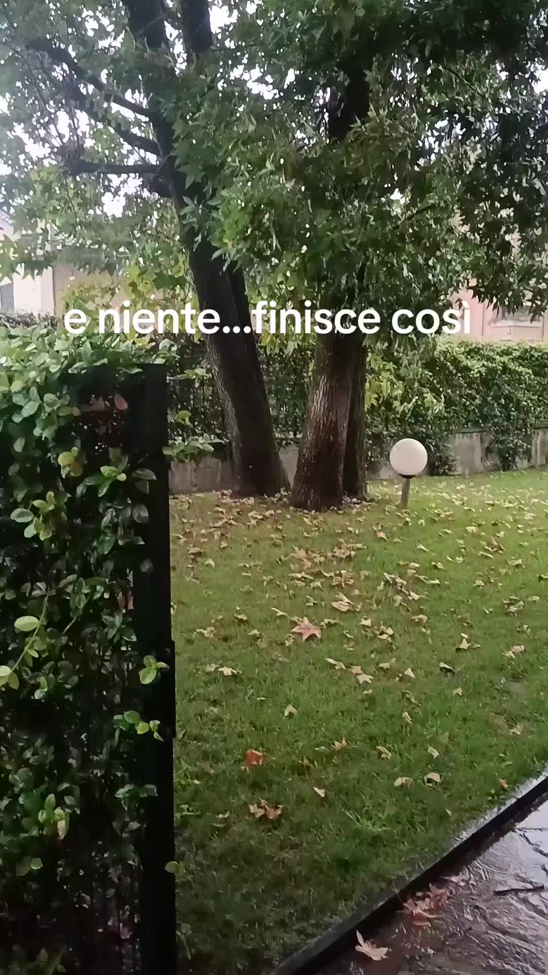@La Anto