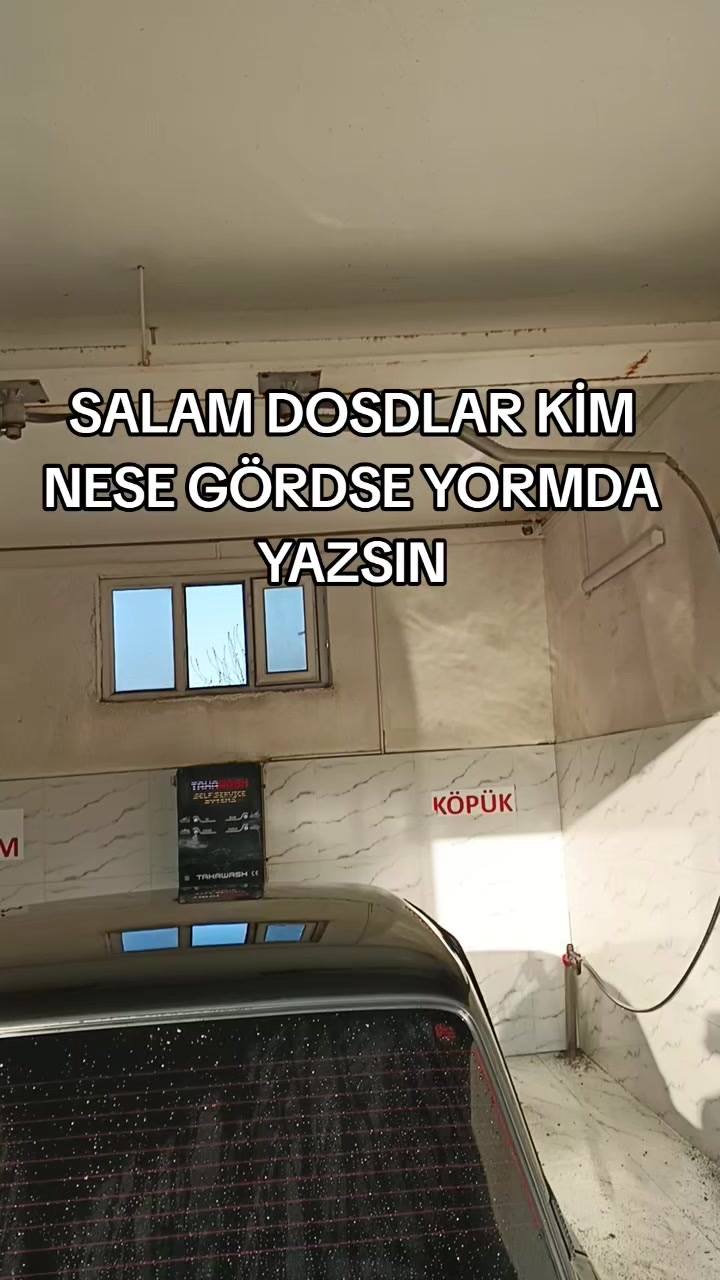 @M_LACINIM_341_M