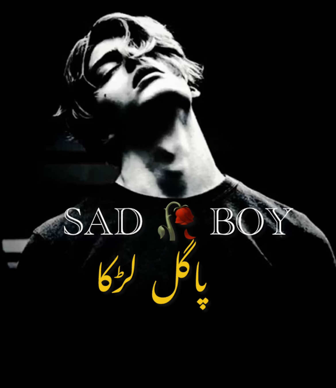 @😢 SAD BOY🎶