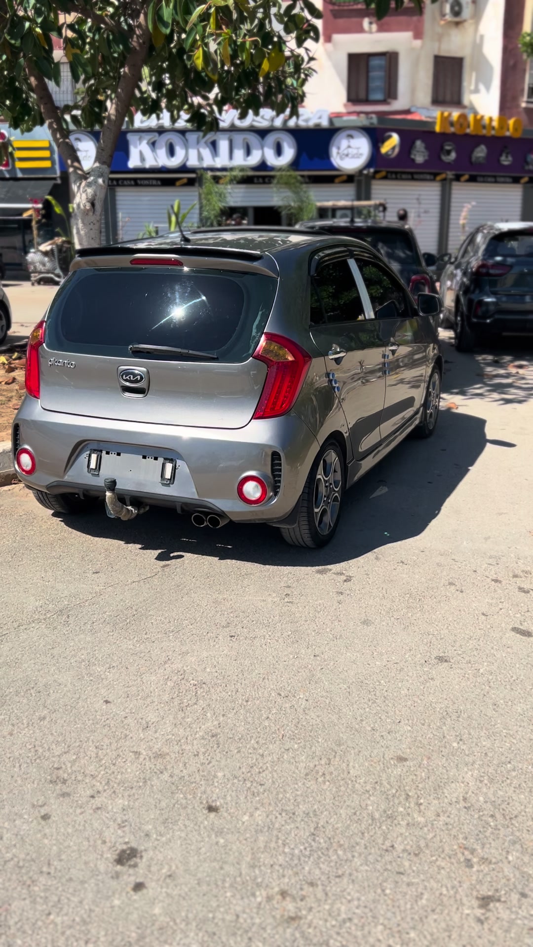 @anis picanto