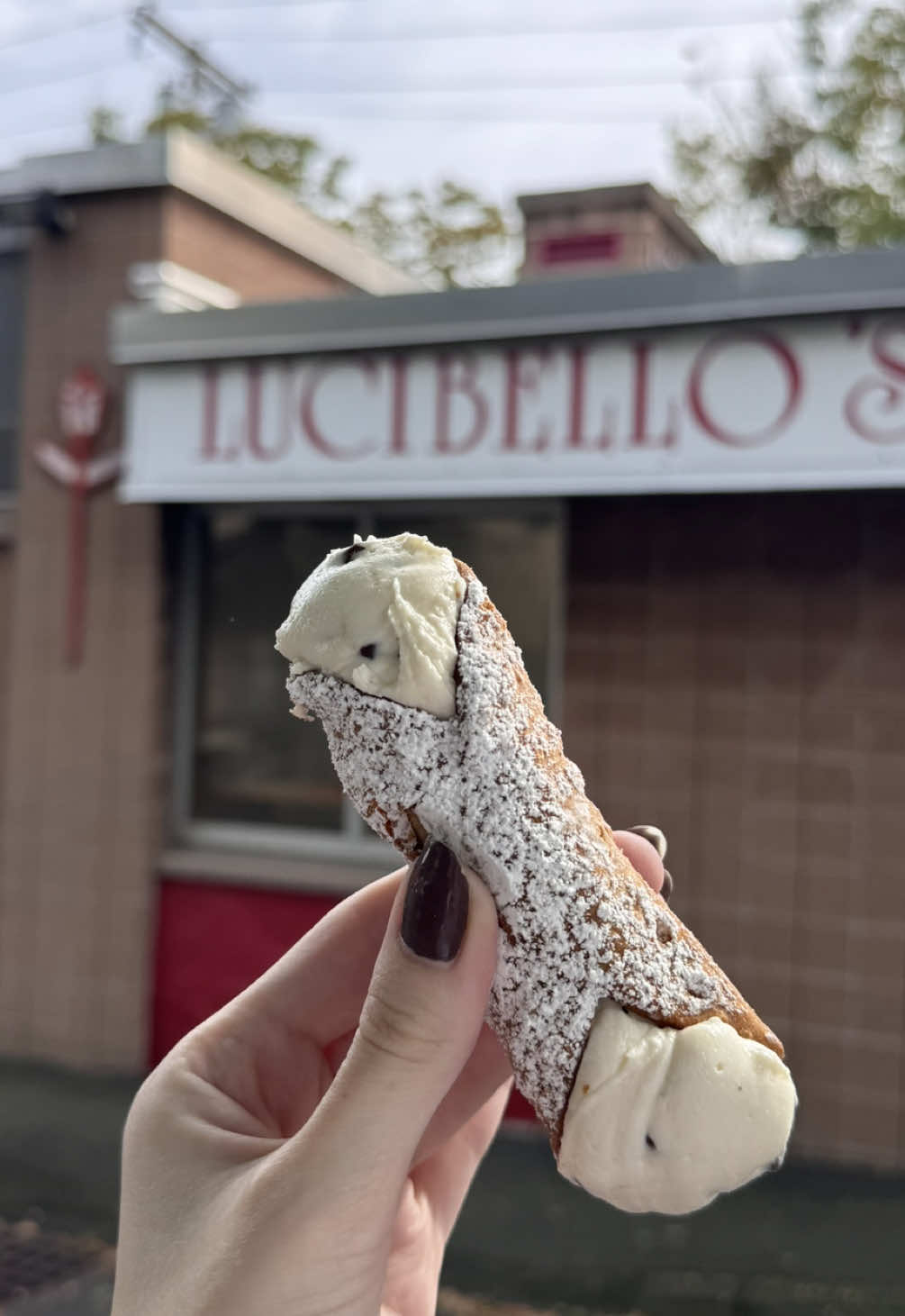 @Lucibellos Italian Pastry Shop