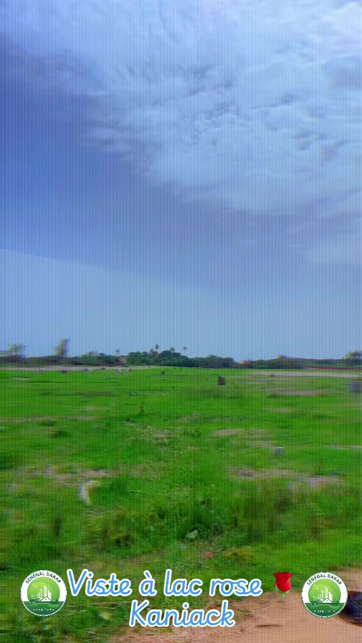 @Sénégal dakar habitat 🇸🇳