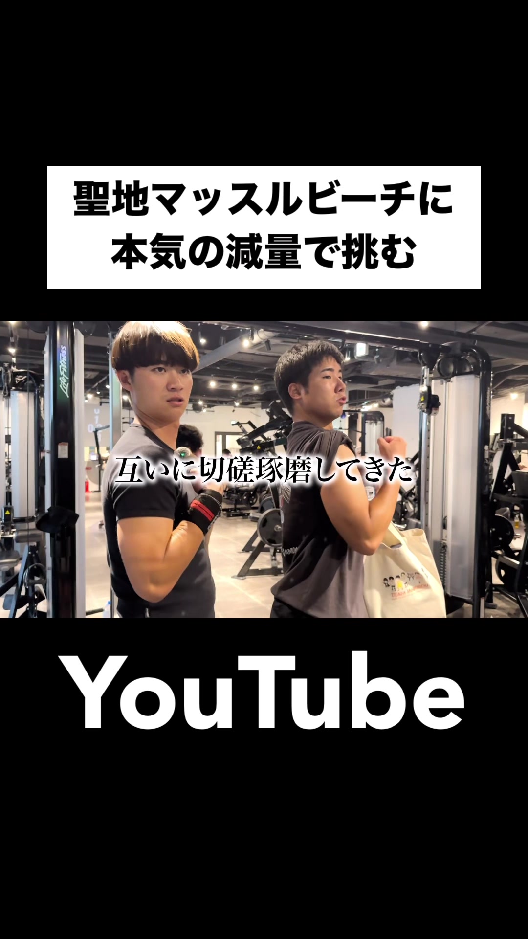 @ジャンキソウ🐺