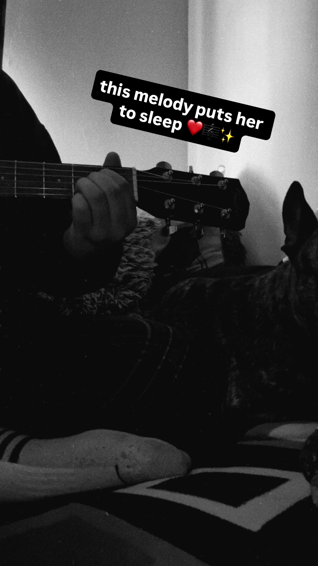 @RoddyDoodles ❤️