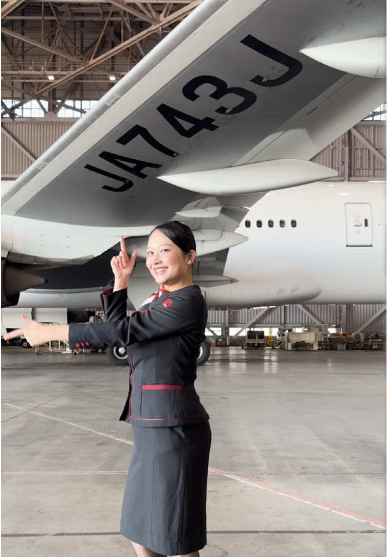 @JAPAN AIRLINES【公式】