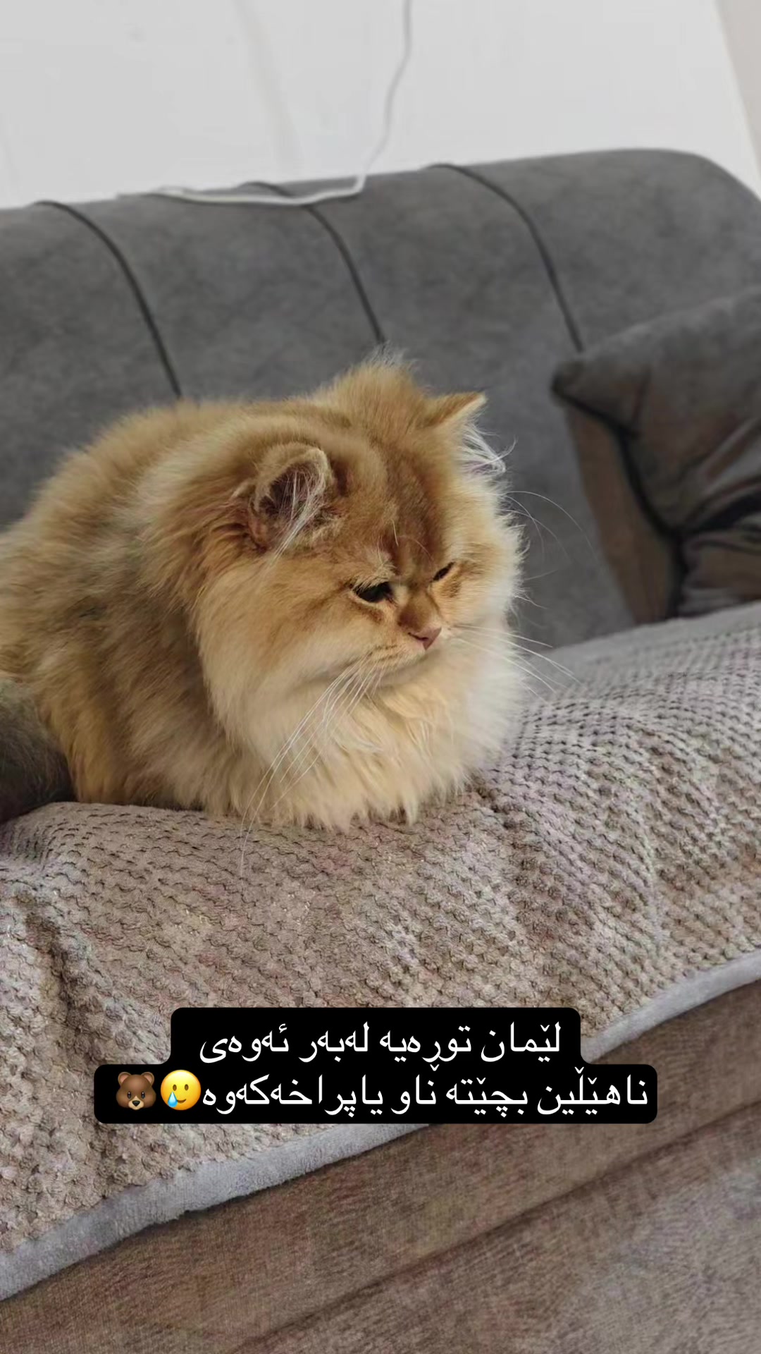 @3pshilaka