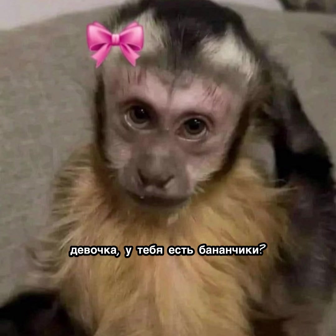@&agrave;&ntilde;y&agrave;_&agrave;t&agrave;m&agrave;&ntilde;sk&agrave;y&agrave;
