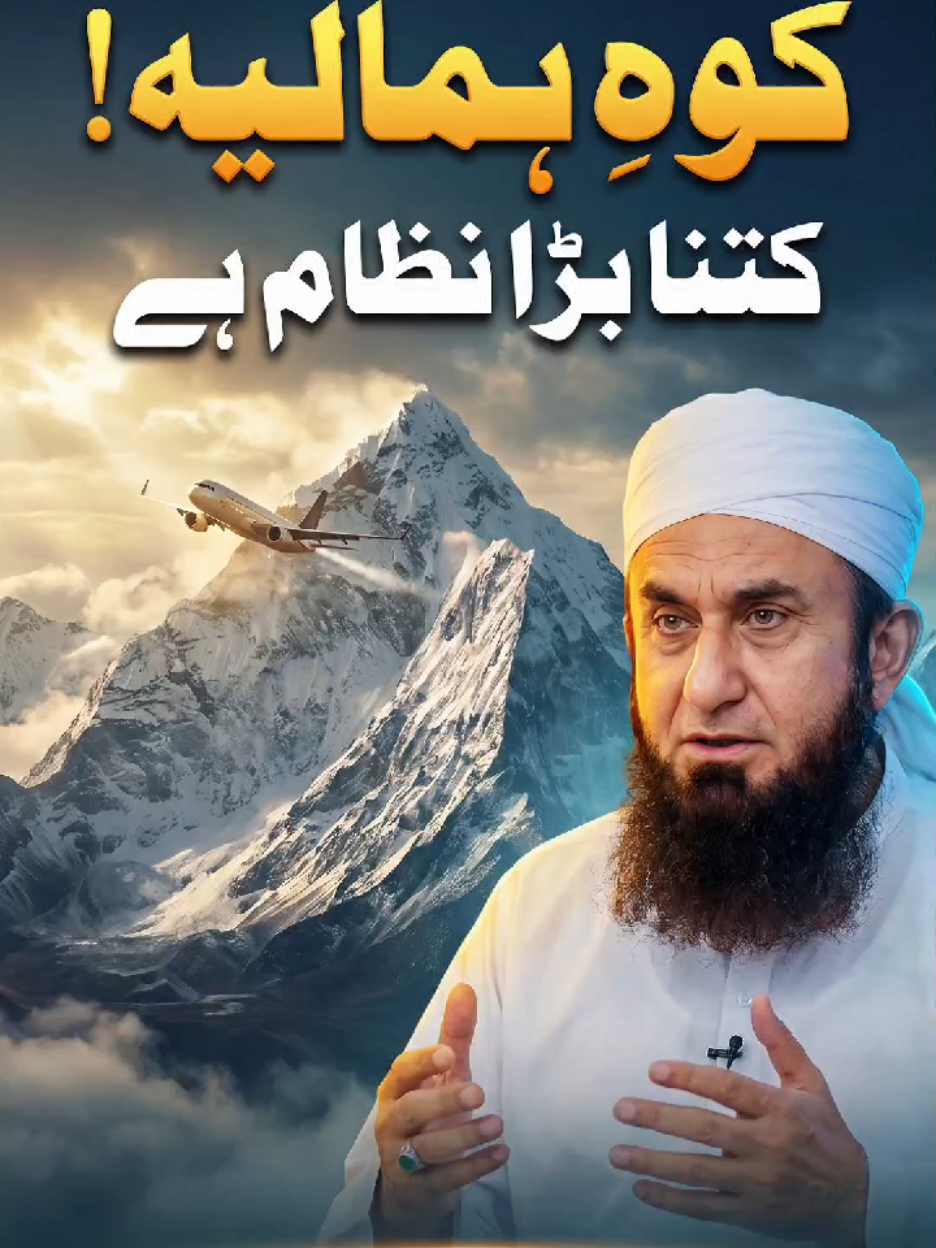 @Tariq Jamil | AJ Official