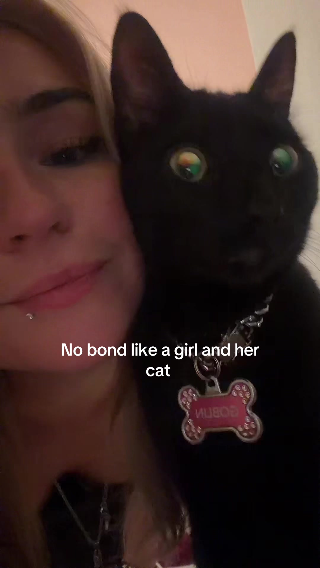 @Harleycake