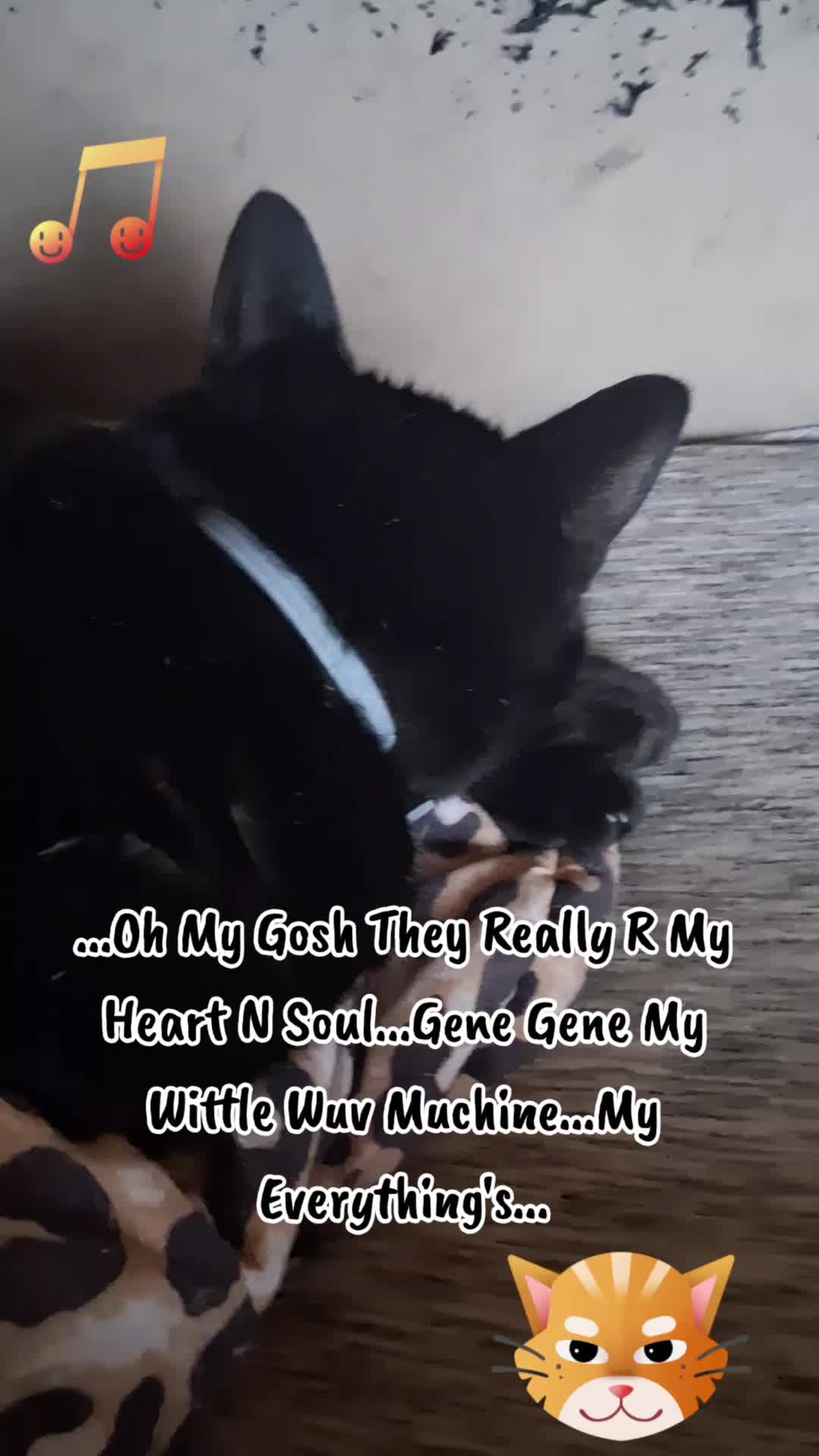 @Booh Hovey crazycatlady3