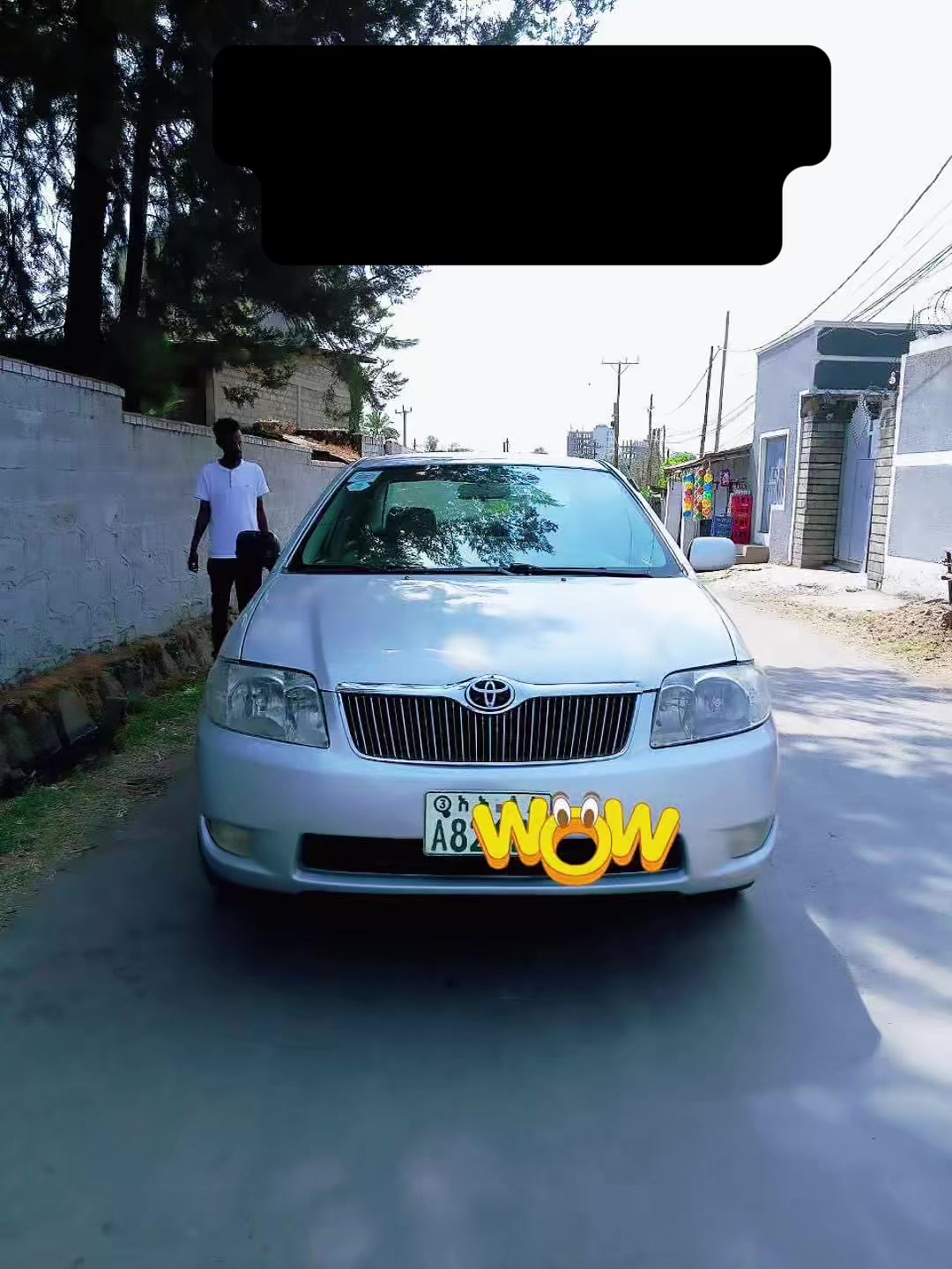 @Loyal Car