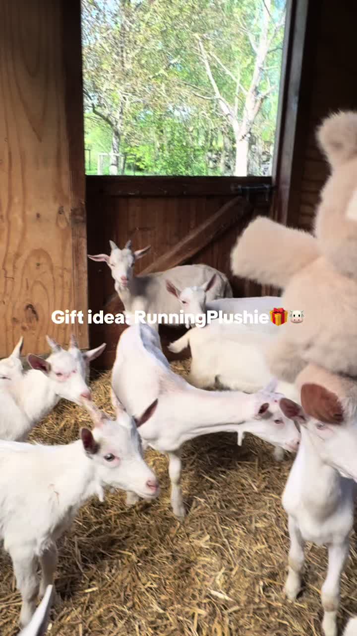 @RunningPlushie