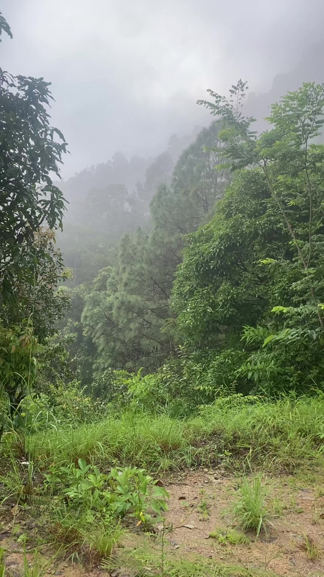 @थानेश्वर ज्ञवाली