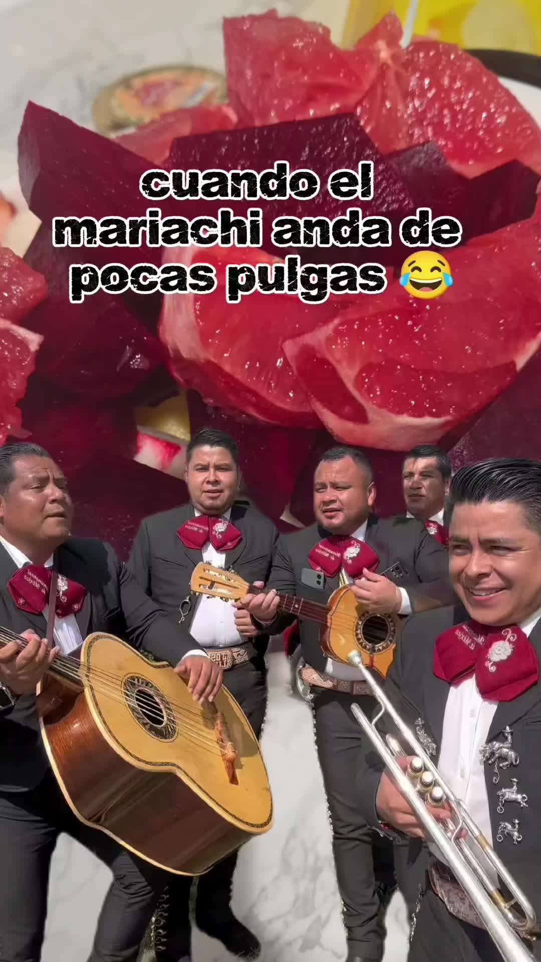 @gavilan007