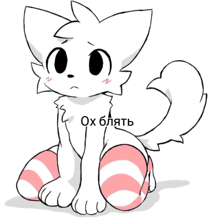 @.𝇃𝇂𝇄 sᥱᥣᥱᥒᥲᥡ 🪸⌇
